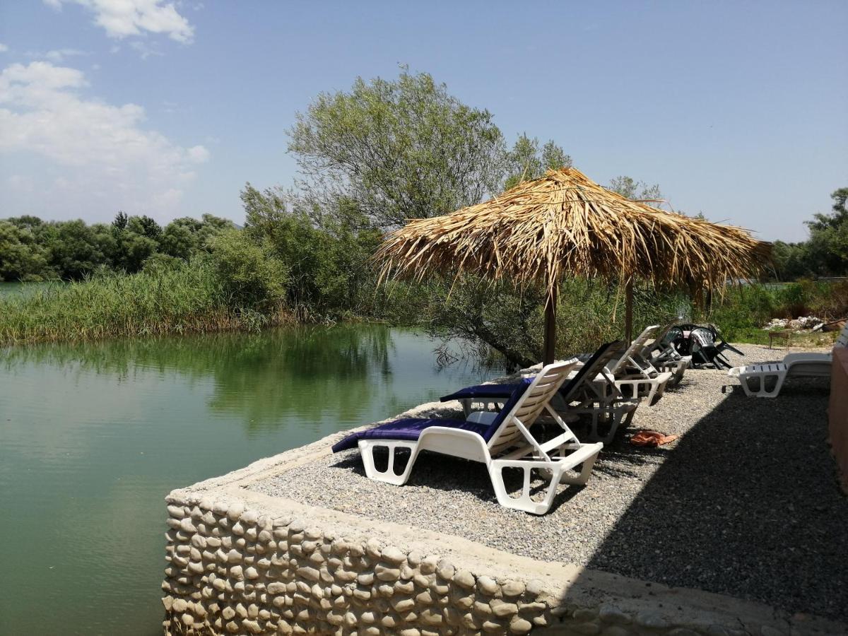 度假居 Skadar House *