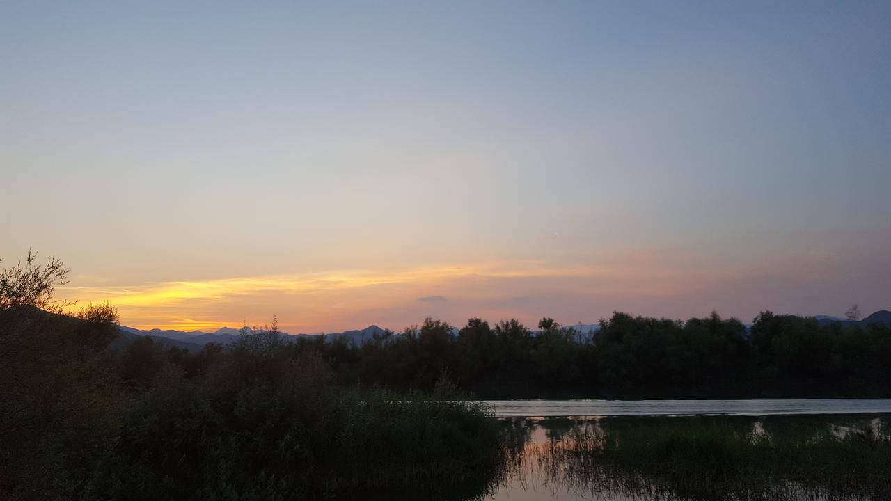 Skadar House 威尔帕扎